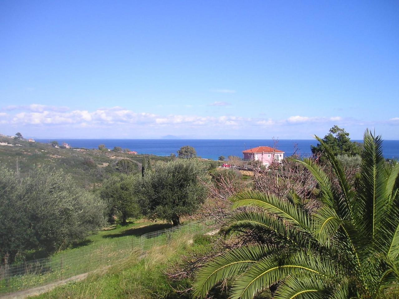 Nikolaos Studios Skala Skala  Екстериор снимка